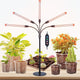 5-Head Table Top Grow Lights for Indoor Plants, Seed Starting, Bonsai with Timer, 45W Power Home Plug, FECiDA 2025 Full Spectrum Plant Growing Lamps, 16"-24" Height Adjustable
