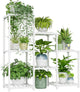 Bamworld Indoor Plant Stand Outdoor White Shelf Bamboo Plant Table for Multiple Plants 3 Tiers 7 Pots Ladder Holder Pot Window Garden Balcony Living Room