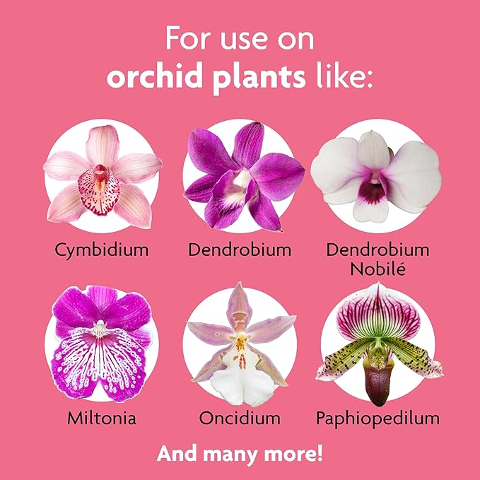 Miracle-Gro Ready to Use Orchid Plant Food Mist, Indoor Orchid Plants, 8 oz, 3-Pack