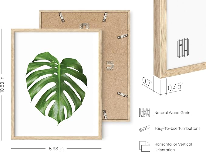 Plant Photo Set of 4-8x10 Framed Beige
