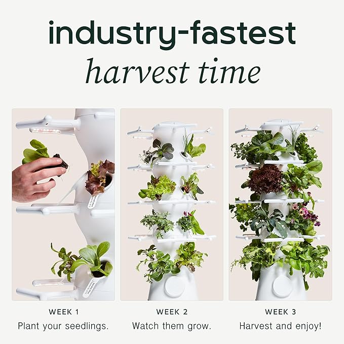 Lettuce Grow Farmstand Nook 4ft.7” Vertical Hydroponic Garden Tower - Self-Watering, Vertical Hydroponic Tower with LED Grow Lights, 20 Live Seedlings, Smart Timer - Indoor Vertical Growing Tower