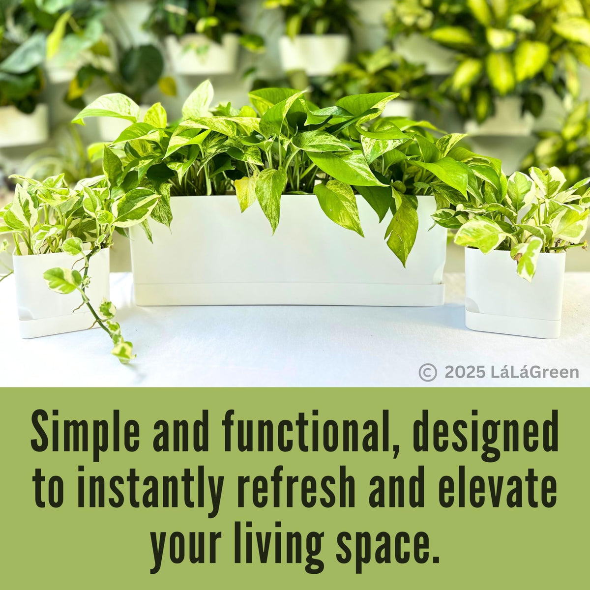 LaLaGreen Planters for Indoor Plants (7 Pack) White Window Boxes Planter