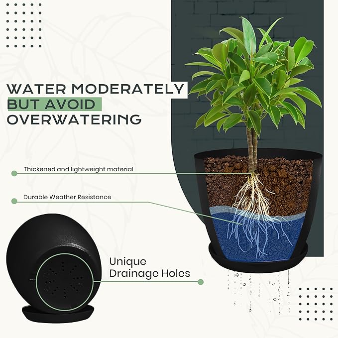 Utopia Home - Plant Pots Indoor with Drainage - 7/6.6/6/5.3/4.8 Inches Home Decor Flower Pots - Pack of 10 Plastic Planters for Indoor Plants, Cactus, Succulents Pot - Black