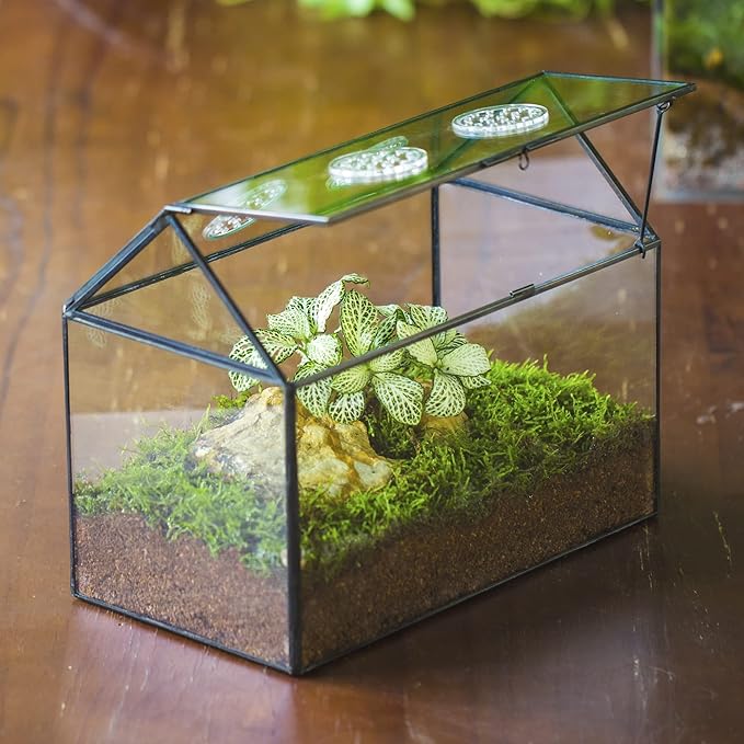 NCYP Glass Terrarium with Lid and Air Holes for Snails, Succulents Plants, Small Cactus - 10.2" x 5.9" x 8.2" House Shape Geometric Clear Box, Indoor Tabletop Decor Black (Terrarium Only)