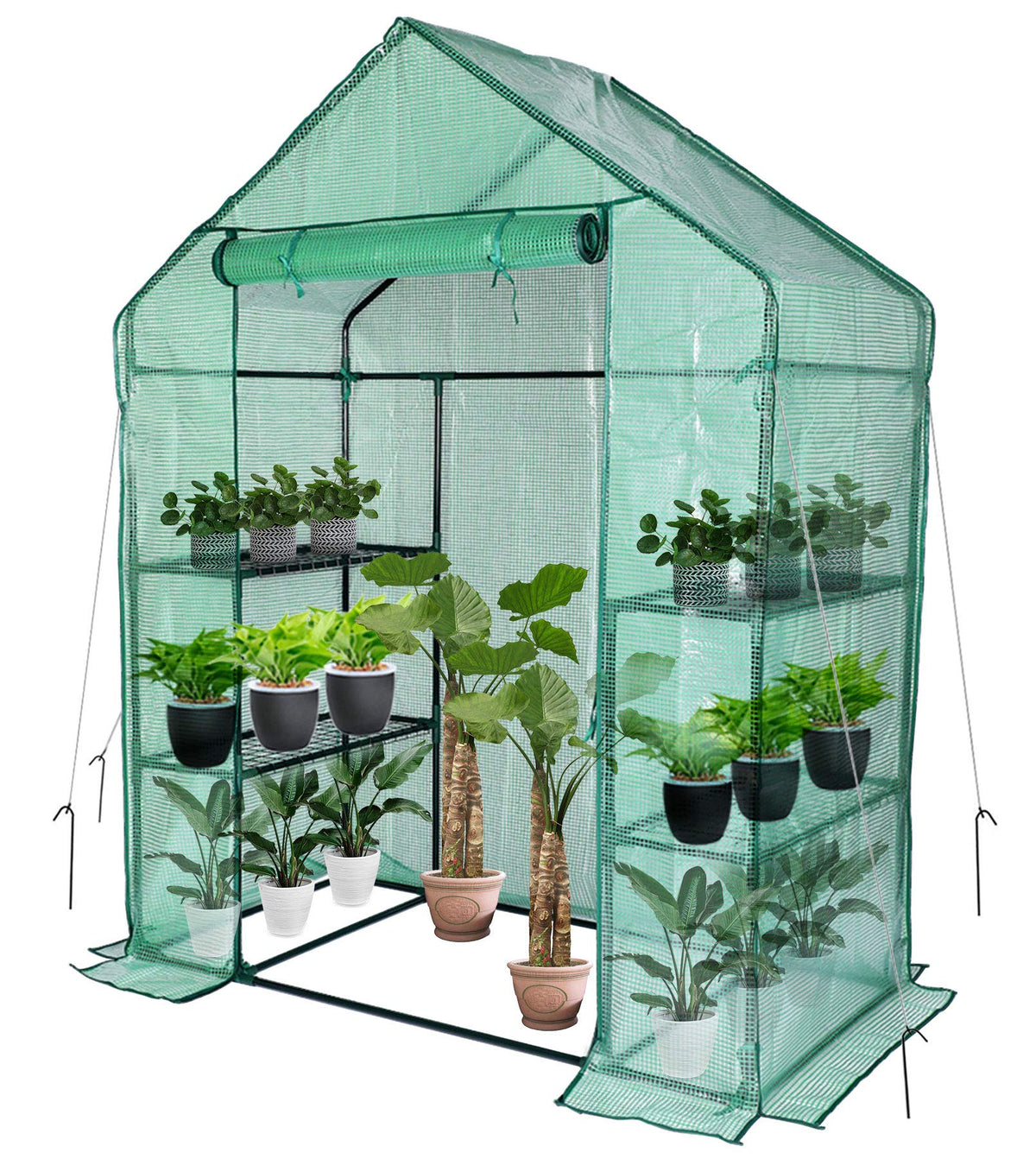 56x30x76 Portable Walk-in Greenhouse for Outdoors, Plant House with Shelves