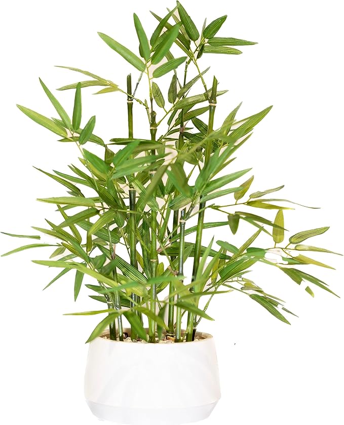 365 Blooming Decor 18 Inch Tall White Potted Faux Bamboo Plant - Luxury Artificial Bamboo in White Pot for Home, Office, Kitchen, Counter Top, Indoor Decor, Money Tree, Lucky Tree