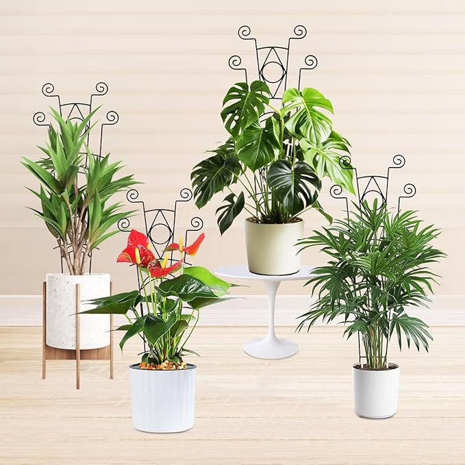 Indoor Plant Trellis for Climbing Plants 2 Pack Small Garden Metal Support for Potted Plants Flowers Houseplants for Outdoor