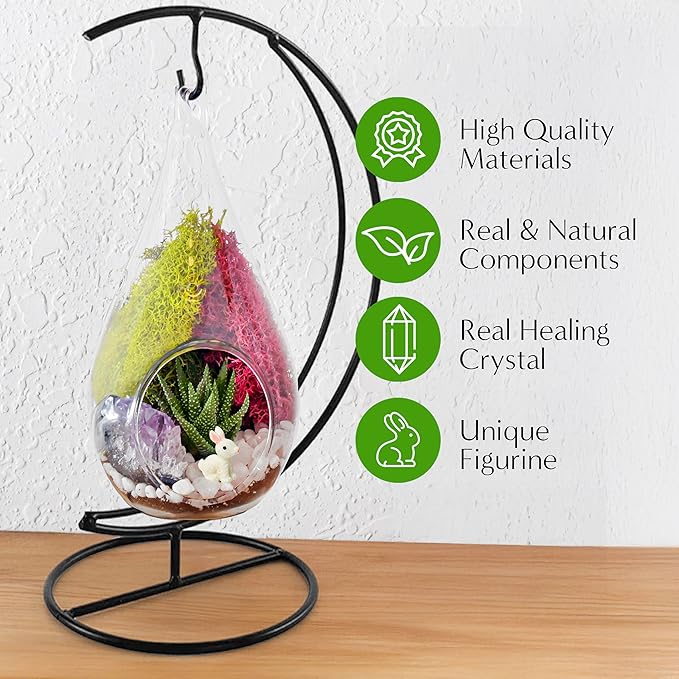 Creations by Nathalie - Plant Terrarium Kit W/Live Succulent (Fresh from Florida), Choose Your Glass DIY Terrarium Starter Kit for Adults, Metal Stand, Reindeer Moss, Crystal & Rocks, Tools, Figurine