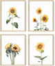 HAUS AND HUES Sunflower Set Collage 16x20 - Framed Beige