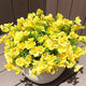 Artificial Flowers for Outdoor, Realistic Faux Plants for Outside Indoor Porch Patio Window Box Planter Home Decor (Red-12PCS)