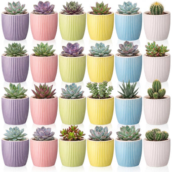 Ferrochef 24 Pcs 2.7 Inch Small Succulent Plant Ceramic Pot with Drainage Hole, Cute Mini Succulent Pots for Plants, Succulents, Cactus, DIY Easter Spring Craft Activity, 6 Colors(Vertical Stripes)