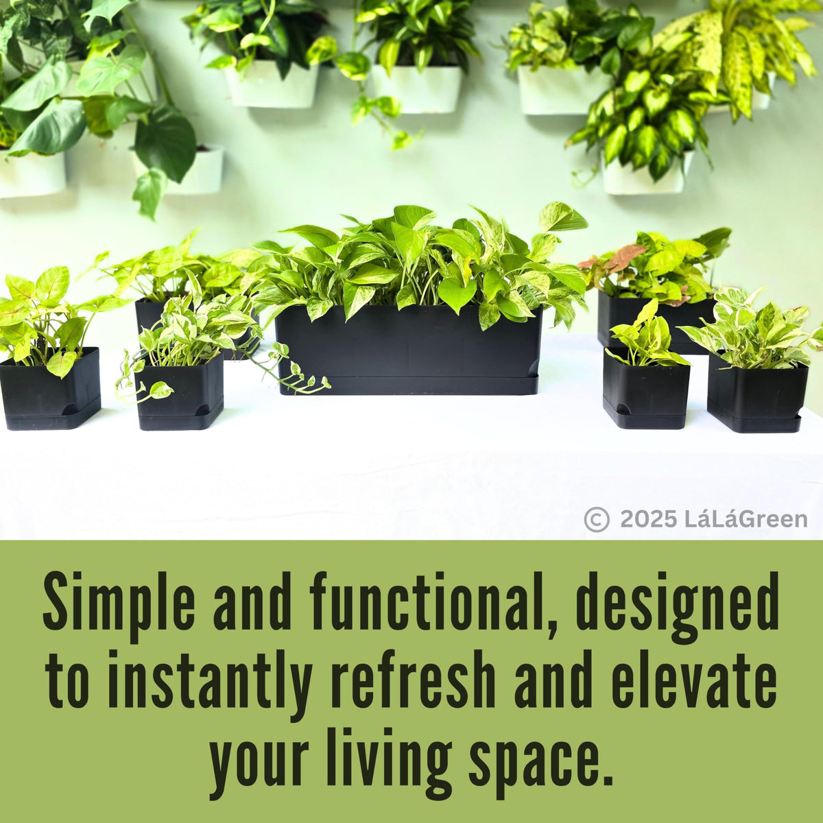 LaLaGreen Planters for Indoor Plants (7 Pack) Rectangular Flower Boxes