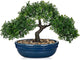Artificial Bonsai Tree Faux Plants Indoor Fake Plants Decor with Blue Ceramic Pots for Home Table Office Desk Bathroom Shelf Bedroom Living Room Farmhouse Decor