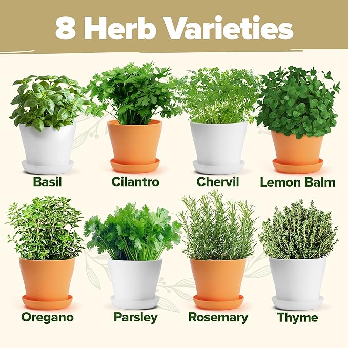 HOME GROWN Gift Herb Kit – 8 Herb Seeds Set with Basil, Cilantro, Mint & More, Complete Indoor Grow Kit for Kitchen, Gardening Gifts for Women & Men, Ideal for Cooking & Home Décor