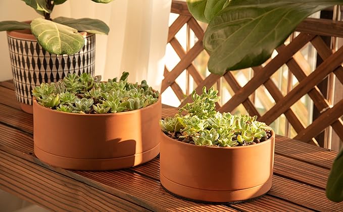 D'vine Dev 10 Inch Succulent Terracotta Shallow Pot with Drainage Hole and Saucer, Round Cylinder Planter Pot for Plant Flower, 40-Y-B-0