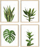 Plant Photo Set of 4-8x10 Framed Beige