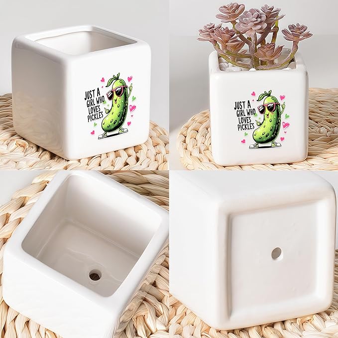 BJDAMAI Pickle Succulent Planter Flower Plant Pot Small, Gifts for Women Teens Girls Kids, Pickle Lovers Themed Stuff Accessories Things Decor Merch, Home Office Table Desk Decoration!