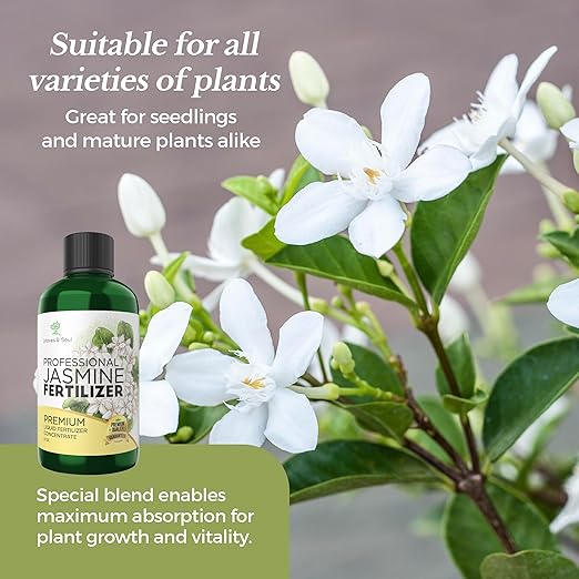 Professional Liquid Jasmine Fertilizer | 3-1-2 Concentrate for Plants and Flowers | Multi-Purpose Blend & Gardening Supplies | 8 oz Bottle (Jasmine)