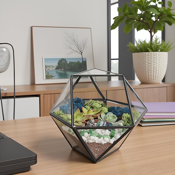 Creations by Nathalie DIY 7" Geometric Terrarium Kit with Live Plants - Build Your Own Glass Terrarium for Adults & Kids with Moss, Crystals, Tools & Decor - Mini Ecosystem - Handcrafted in The USA