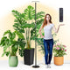 chiphy Grow Lights, 85" Full Spectrum Plant Light for Indoor Plants, 4/8/12H Timer, 40W Grow Lamp, 10 Dimmable Brightness, Height Adjustable, Ideal for Large Tall Plants
