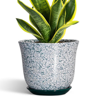 SUNPOTFOR Ceramic Pots for Plants, 8 Inch Plant Pot for Indoor, Green