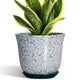 SUNPOTFOR Ceramic Pots for Plants, 8 Inch Plant Pot for Indoor, Green