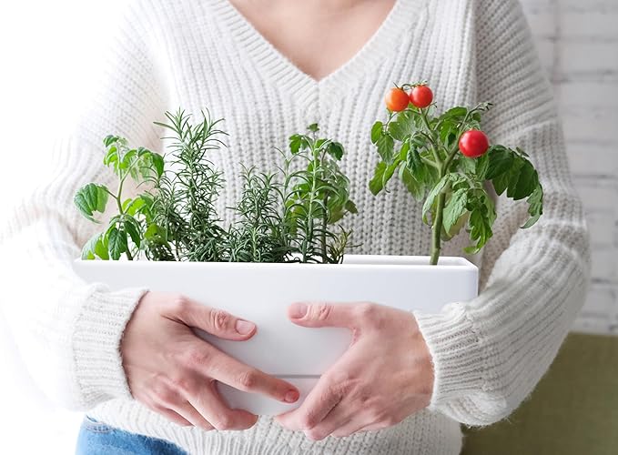 D'vine Dev 12 Inch Window Box Planter, Rectangle Plastic Herb Planter with Drainage Holes and Saucer, Indoor Succulent Cactus Vegetable Pot for Windowsill, Garden Balcony, White, Set of 1, 76-X-A-1