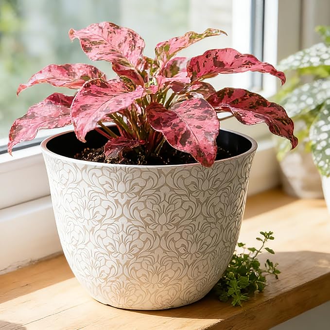 Worth Garden Plastic Round 8" Plant Pots for Indoor Plants - Set of 6 Multicolor Small Flower Pots W/Drainage Hole and Rubber Plug - Home Christmas Decorative planters Retro Floral Pattern