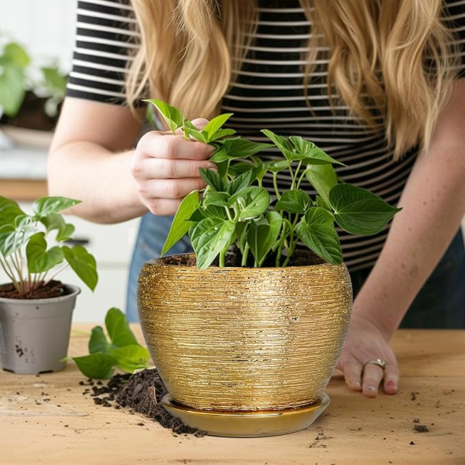 Indoor Plant Pot 6 Inch - Ceramic Pot for Plants Outdoor Planter with Drainage Hole and Saucer Round Decorative Planter Modern Flower Pot for Home Decor Gold