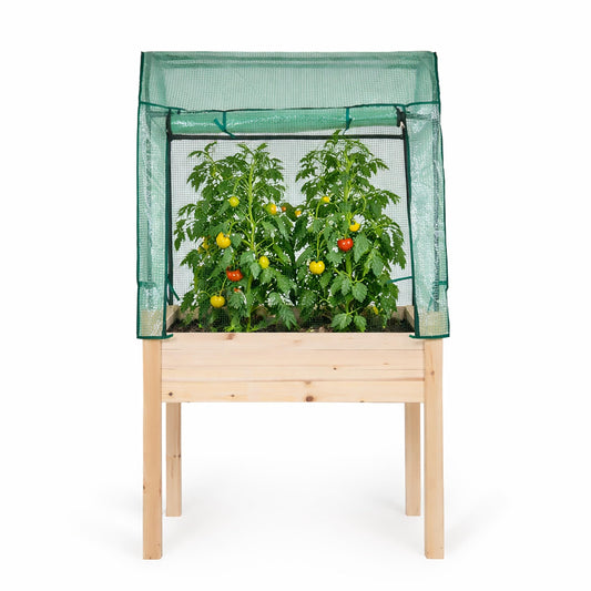 Backyard Expressions 36"x24" Elevated Garden Bed with Greenhouse Cover – Raised Wooden Planter Box with Legs, Mini Outdoor Greenhouse, 66" Tall
