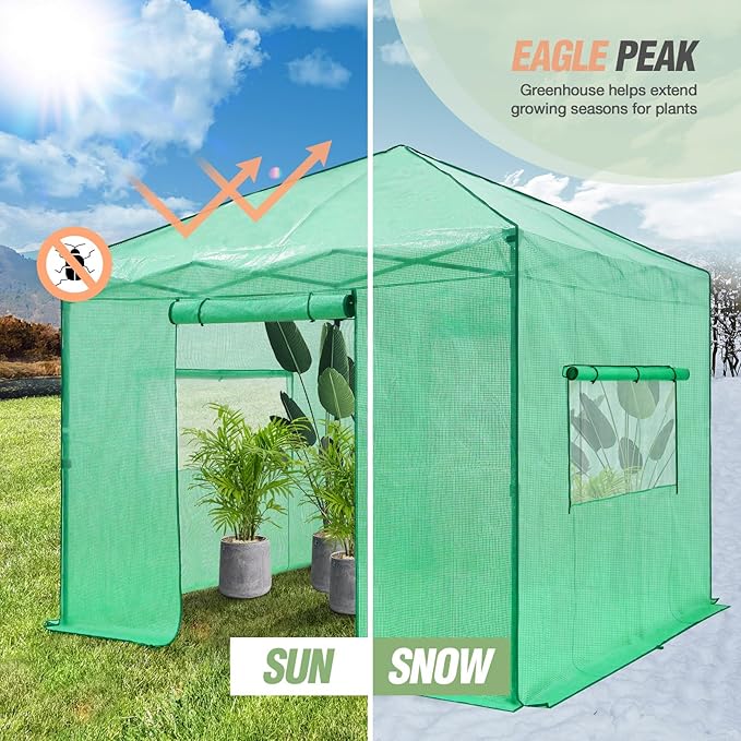 EAGLE PEAK Instant Pop-up Greenhouse, Indoor Outdoor Plant Gardening Green House, Roll-Up Zipper Doors and Side Windows, Walk in 10x10 ft, Green/Clear