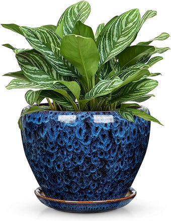 Hollyone 9inch Ceramic Planter Blue Ceramic Plant Pot for Plants Flowers with Drainage Hole and Saucers Ceramic Glaze Round Flower Plant Pot for Indoor Outdoor Large Round Succulent Orchid Flower Pot