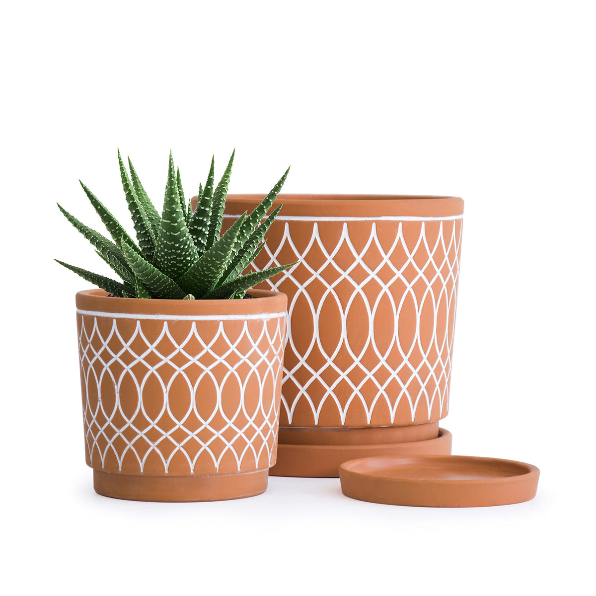 D'vine Dev 2-Pack Terracotta Pots with Saucers, 4/6 in, 31-958-C-1