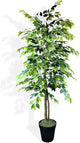 LCG Florals 6ft Artificial Ficus Tree in Black Plastic Pot - Real Wood Trunk, Preassembled, No Maintenance Indoor Faux Plant - Living Room, Home & Office Decor