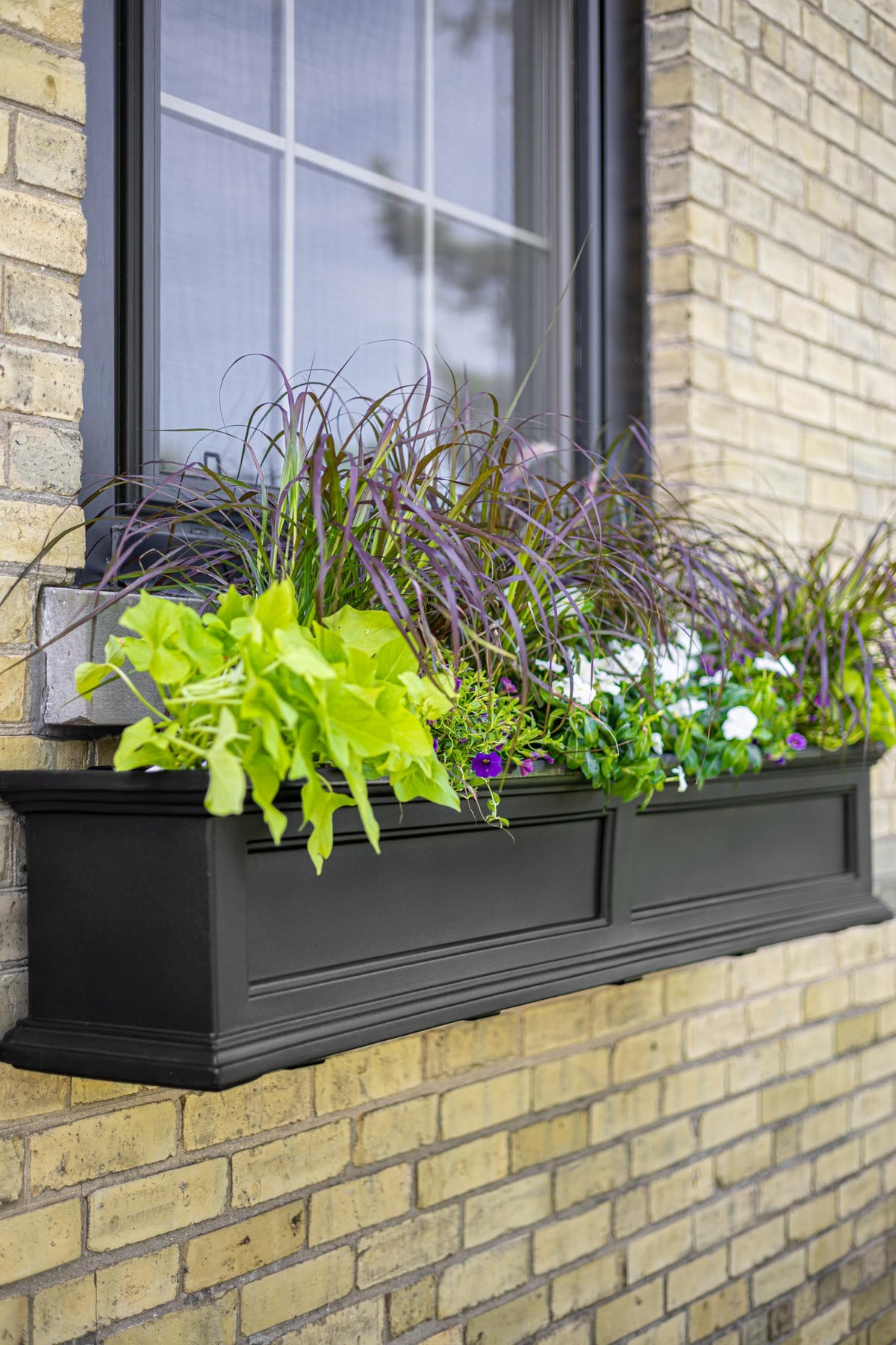 Mayne Fairfield 36in Self-Watering Rectangular Window Box Planter, Black