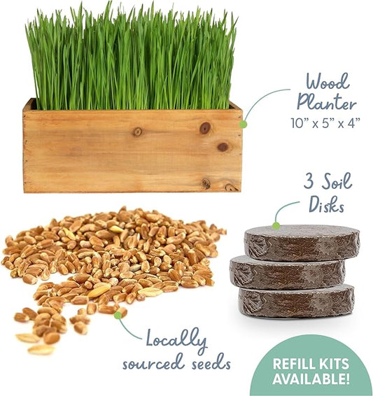 The Cat Ladies Cat Grass Kit with Rustic Wood Planter, Seed and Soil. Easy to Grow for Indoor or Outdoor Cats, Dogs and Other Pets. Prevent Hairballs and Aid Digestion