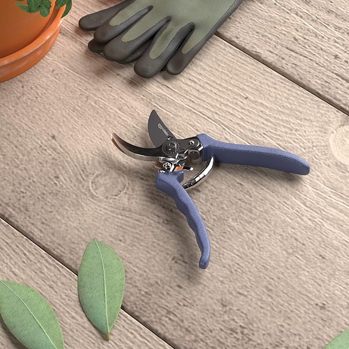 Amazon Basics Professional Hand Pruners, Garden Clippers, Pruning Shears, 8-inch Steel Bypass Garden Scissors, Blue
