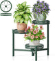 NQW Plant Stand Indoor Outdoor, 3 Tier Corner Metal Flower Display Holder Shelf, Folding Tall Plant Rack for House Patio Balcony Porch Garden Living Room, Heavy Duty Anti-Rust Wrought Iron - GreenFlower