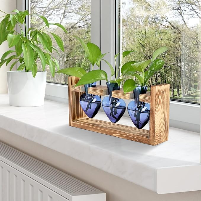 Plant Terrarium Propagation Stations Hydroponics Home Garden Decoration Gift for Women with Wooden Stand Heart Shaped Colored Glass Vase