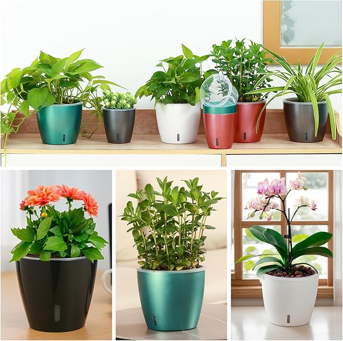 KvyusFlourish Self Watering Pots for Indoor Plants, 6-Pack 5'' Self Watering Planter with Drainage Holes, Small African Violet Pots with Water Indicator, Clear Wick Orchid Pot, Black