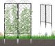 Zhongma 2 Pack Metal Garden Trellises for Climbing Plants, 53.5 Inch Tall Metal Fence Plant Support Trellis for Flower and Vagetable