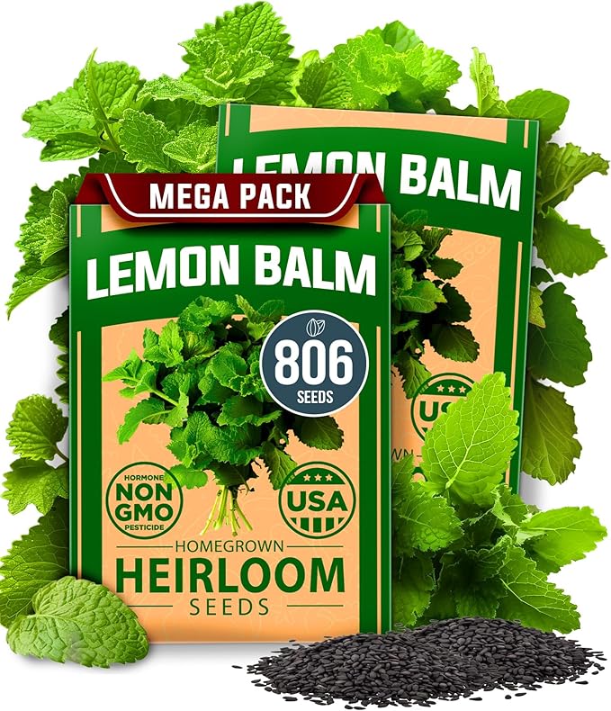 HOME GROWN Lemon Balm Seeds– 806 Non GMO Heirloom Seeds for Planting – Melissa officinalis Herb for Tea, Garden, Indoor or Outdoor Growing–Plant for Pots, Beds & Hydroponics(Melissa officinalis)