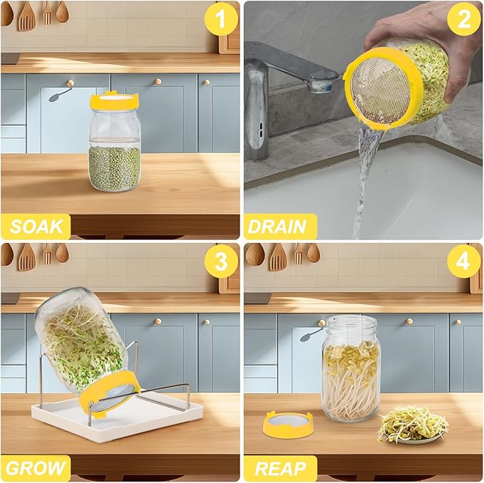 Lulonpon Sprouting Kit, 4 Sprouting Jar Kits, Wide Mouth Quart Mason Jars with Stainless Steel Screen Sprout Lids,1000ml Sprouts Growing Kit, Seed Sprouter Set for Growing Broccoli, Bean, Alfalfa ﻿