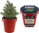 BUZZY Seeds All-in-One Spruce Tree Grow Kit Holiday Pail with Non-GMO Seeds, Growing Medium, Red Pail and Easy Instructions | Fun Indoor Gardening Project, Great Gift for Gardeners, Stockiing Stuffer