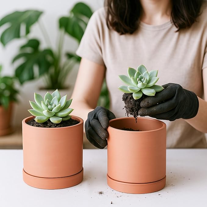D'vine Dev Small 5 Inch Terracotta Plant Pot with Drainage Hole and Saucer, Round Cylinder Planter Pot for Indoor Plants, Set of 2, 40-X-B-2