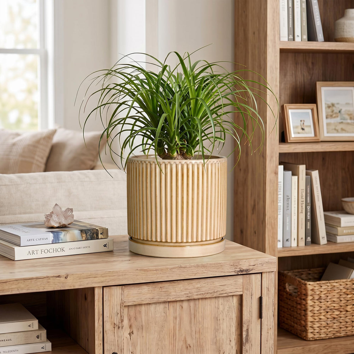Wliror 8 Inch Flower Pot, Ceramic Planters, Round Plant Pot, Beige