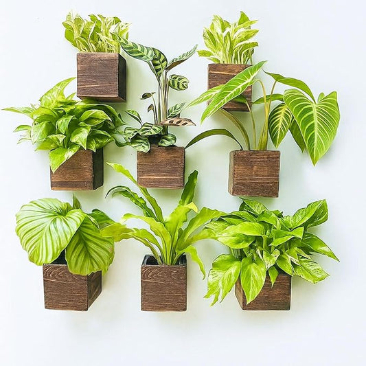 LaLaGreen Wood Planter Boxes for Plants (4x4 Inch, 8 Pack) Small Square Wall Mounted Planters for Indoor Plant, Herb Wooden Box Hanging Flower Pot Plant Holder Outdoor Fence Vertical Garden Home Decor