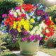 16 Bundles Artificial Silk Flowers Outdoor UV Resistant, Realistic Faux Plants for Spring Wedding Home Decor - Hanging Box Planter Garden Porch Patio Yard Decoration