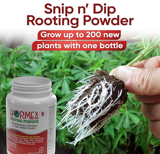 Hormex Rooting Hormone #8 - Powerful Rooting Powder for Semi-Hardwood Houseplant & Tree Cuttings | Stimulates Root Growth to Accelerate Plant Propagation (0.8% IBA)