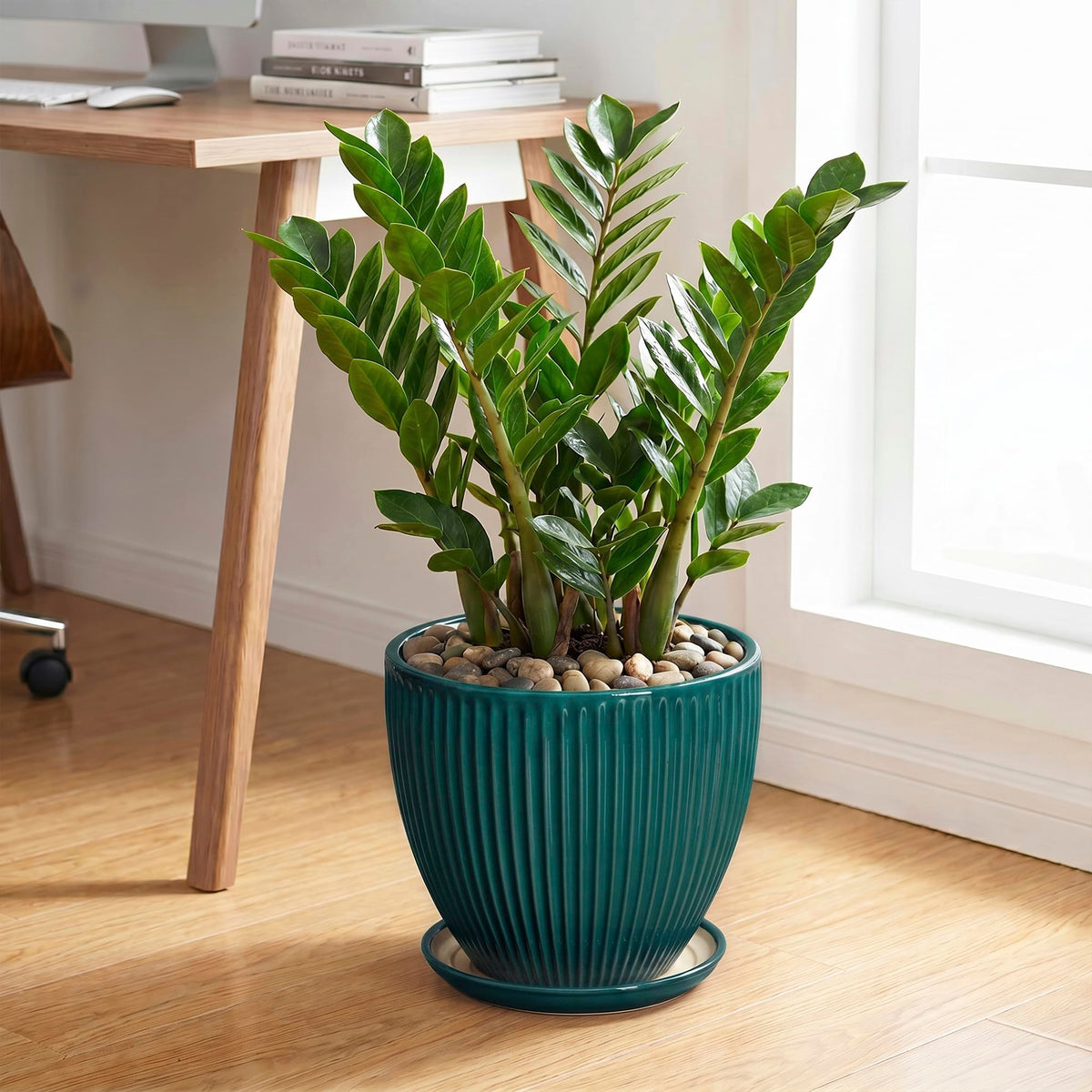 Wliror 10 Inch Flower Pot, Ceramic Planters with Saucer, Blackish Green